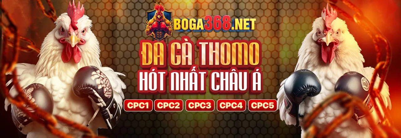 Tổng quan về Giải Đấu Gà Chọi Toàn Cầu