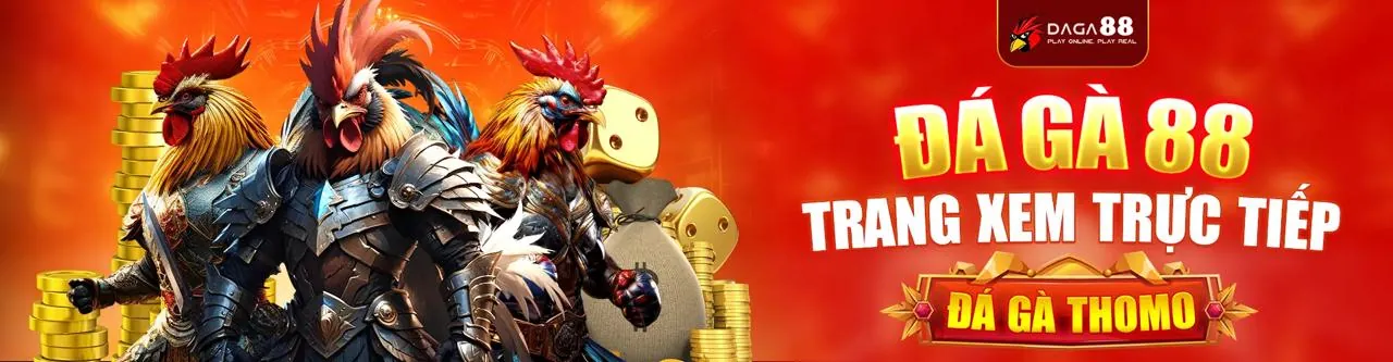 Tổng quan về đạo đức và quy định chọi gà