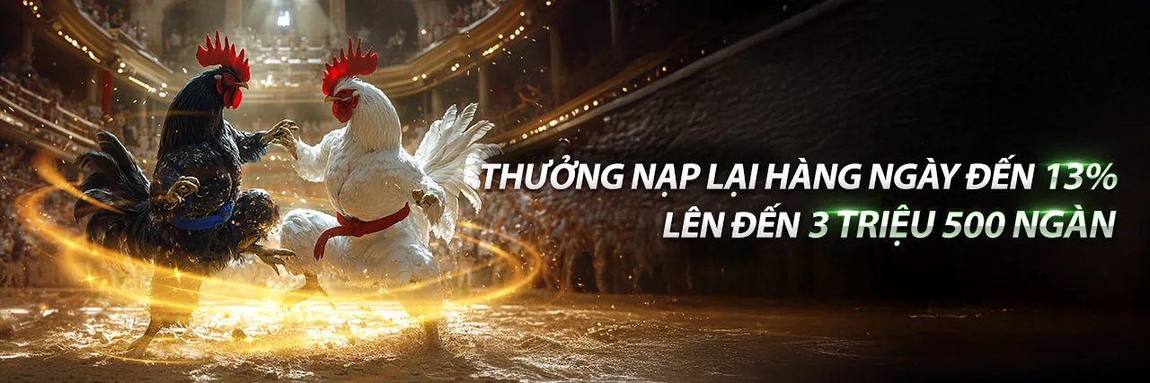 Sân đá gà sôi động tại ae888 đã gà