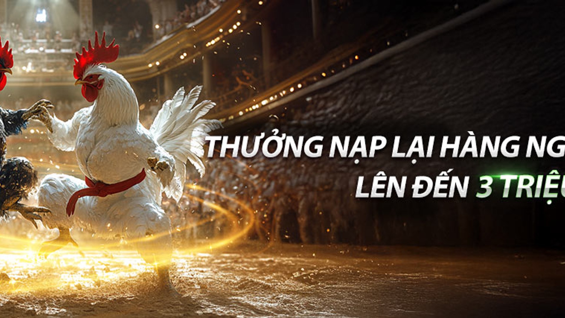 Hình ảnh đá gà trực tuyến kịch tính tại ae888