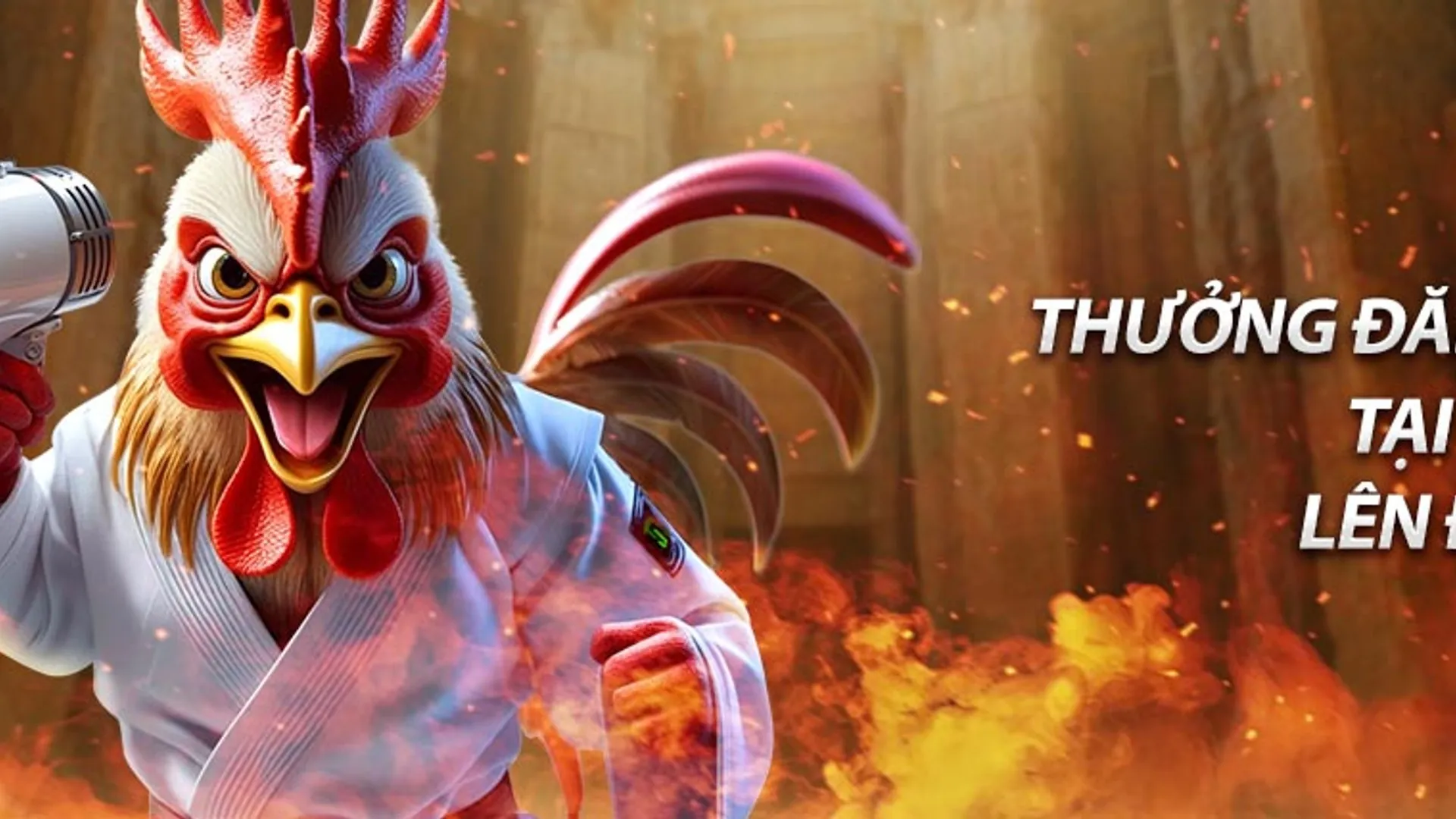 Hình ảnh đá gà AE888