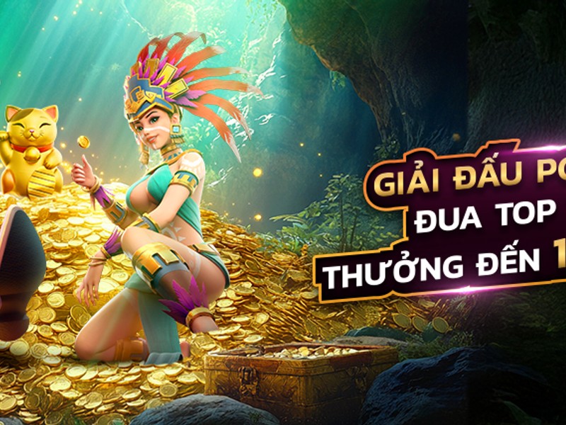 Hình ảnh các giải đấu đá gà lớn