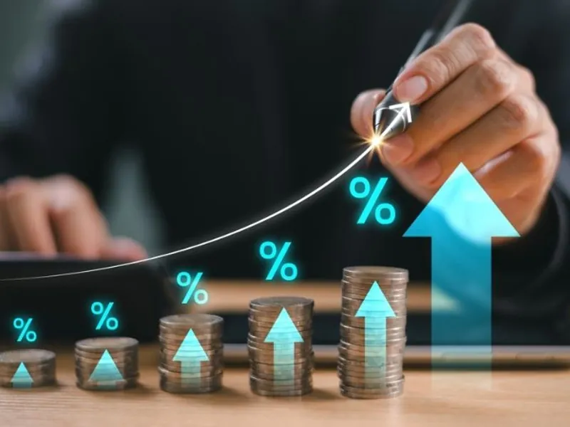 Hình ảnh minh họa chiến lược cá cược đá gà hiệu quả