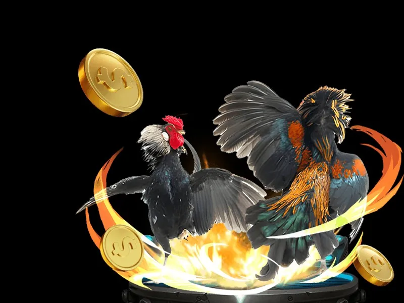 Hình ảnh minh họa chiến lược chơi game và đá gà